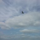 세창세탁소 이미지