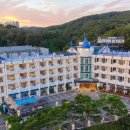 베니키아 스위스로젠 호텔 이미지