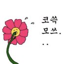 스테레오타입오브부산 네이버블로그