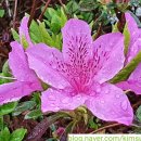 놀러와 당구클럽 이미지