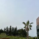 파우제419 펜션 이미지