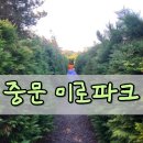 상예동-6 | 제주 중문미로파크 미로찾기 성공 후기 아이랑 함께한 제주 미로공원 가족체험