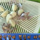 마늘각시 이미지