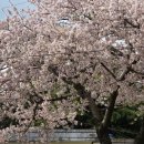 호근서호로 이미지