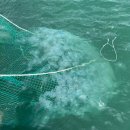 고흥영남수산 이미지