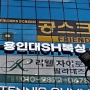 용인대SH복싱 이미지