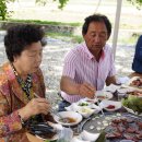 잣미 Daum카페