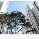 반포스타공인중개사사무소 이미지