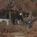 산골밥상민박 이미지