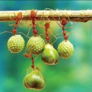 인류한테 가장 좋은 식품인 동시에 최고의 영약(靈藥) - 개미는 불로장생의 묘약 이미지