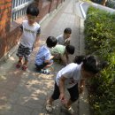 구립다원어린이집 - 마포구 | 구립다원어린이집