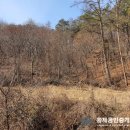 황제부동산중개사무소 이미지