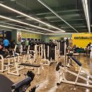 브로스나인 이미지