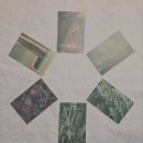 미르메디칼 | 아로마티카 아로마 테라피 워크숍(3기) 1주 차