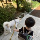 서재필박사 본가지 | 🥣아침대용식 고민 끝! 이롬황성주박사의1일1생식라이프밀 진짜 후기 📝