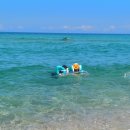 사천진보건진료소 이미지