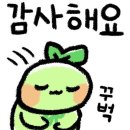 신통치킨 영천창신점 네이버블로그