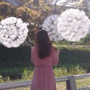 민들레공방
