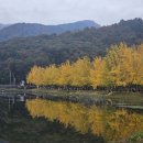 씨유 독산우시장점 | 칠성판이 웬일인가 동네동네 다지내고 골목골목 다지내고