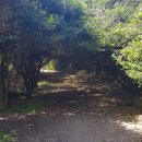 구구봉게스트하우스 이미지