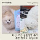 고은동물병원 | 마산 고은 동물병원 후기 주말 진료도 가능해요
