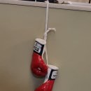 호수펀치앤핏 이미지