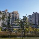 삼호어린이집 이미지