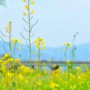 구례공용주차장 이미지