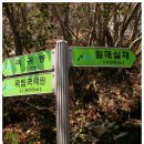탑리목장 네이버블로그