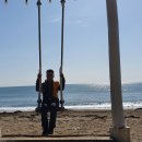 구룡포아라광장 이미지