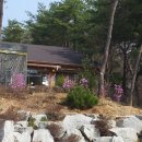 숲속건강나라 이미지