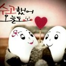 엔돌핀 Daum카페