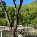 미소가든 펜션 야영장 이미지