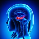 (주)노보파마 이미지