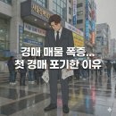 다산위드부동산중개경매 | 서울 경매 매물 폭증… 나는 왜 첫 도전을 포기했을까? (부린이 현실 후기)