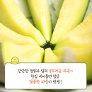 주니사랑몰 네이버블로그