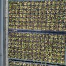 티스테이션 안강점 이미지