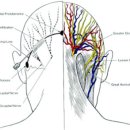 튼튼한의원 이미지