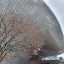 한국경품게임 | 2025년 비버롹스 서울 게임 행사 후기 동대문 데이트 추천