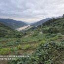 삼화사 - 1346 | 삼화사
