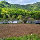 덕유산공인중개사사무소 이미지