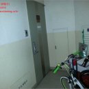 벚꽃로-1 이미지