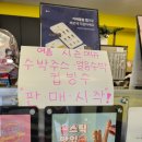 카페봄봄평택역점 | 봄봄카페 "얼음수박" 시즌메뉴 맛 후기🍉