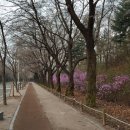 인천대공원(다목적광장) 이미지