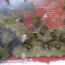 명품수산 이미지