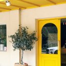 일산초교 | [원주, 기타] 일산동 과일전문점 '플레르망고'