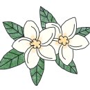 탑리터시지점