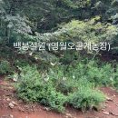 용계농장 | 2024강원그린박람회 마지막이야기!! 부스운영 후기 백봉설원(영월백봉오골계농장)
