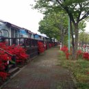 곡성-019 Daum카페