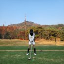 아난티 중앙골프클럽(회원제) 이미지